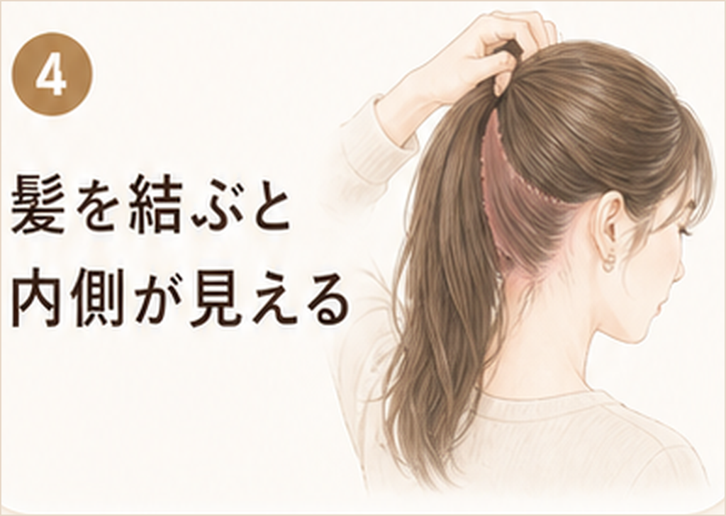 髪を結ぶと内側が見える