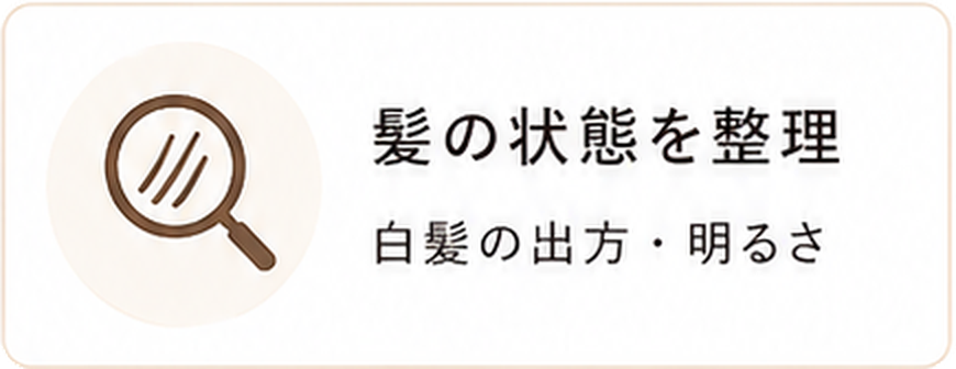 髪の状態を整理。白髪の出方・明るさ