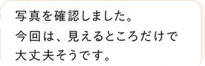 写真を確認しました。今回は、見えるところだけで大丈夫そうです。